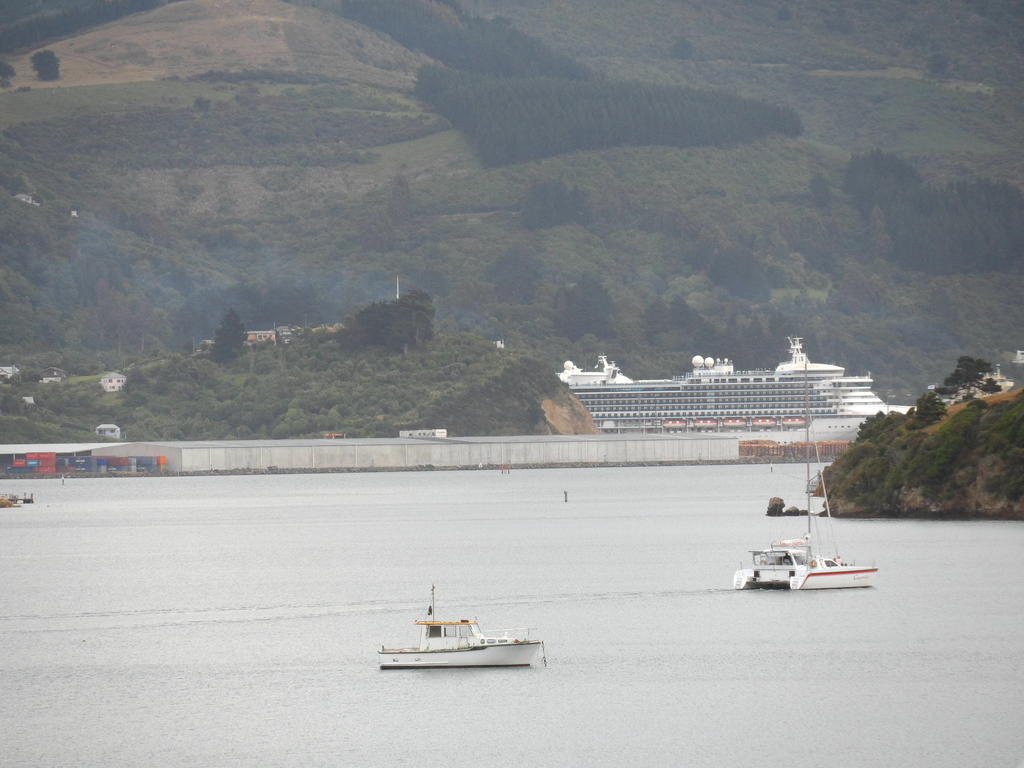 Otago Peninsula Motel Portobello Bagian luar foto