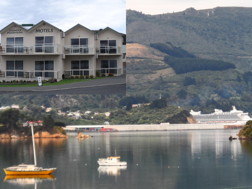 Otago Peninsula Motel Portobello Bagian luar foto